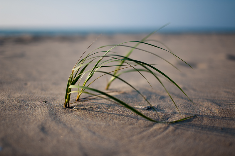 _DSC1593.jpg DSC1593