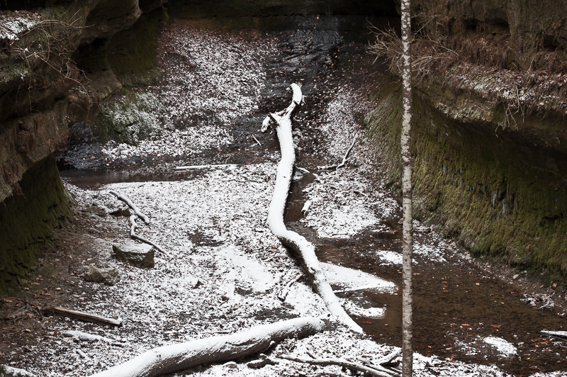 _DSC2059.jpg DSC2059