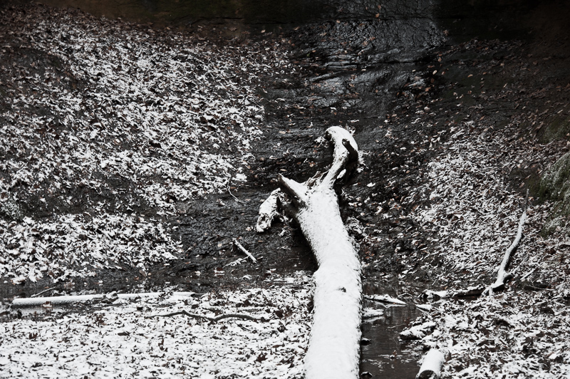 _DSC2065.jpg DSC2065