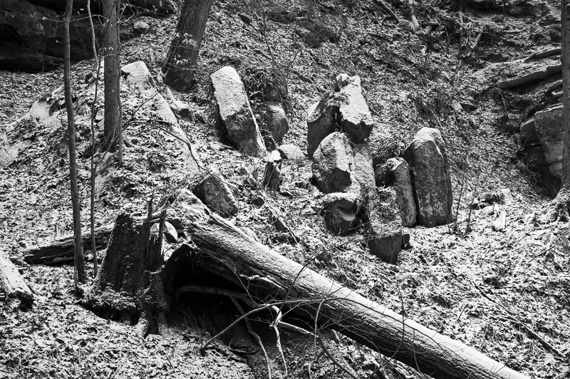 _DSC2071.jpg DSC2071