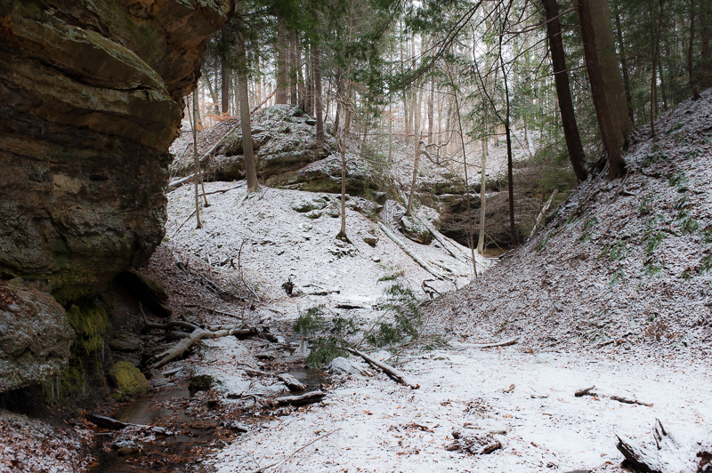 _DSC2113.jpg DSC2113