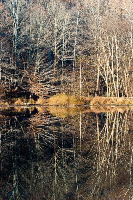 _DSC5479.jpg DSC5479