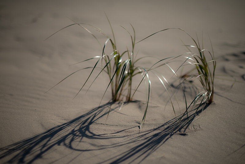 DSC_1212.jpg DSC 1212