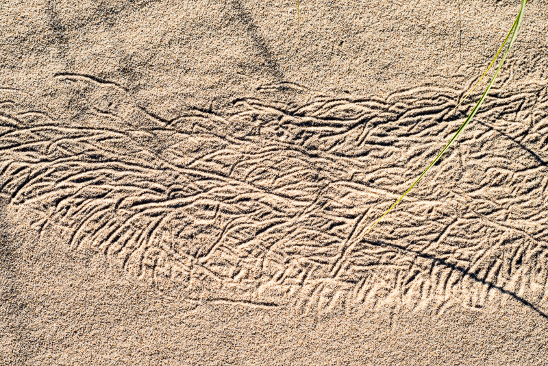 DSC_1215.jpg DSC 1215