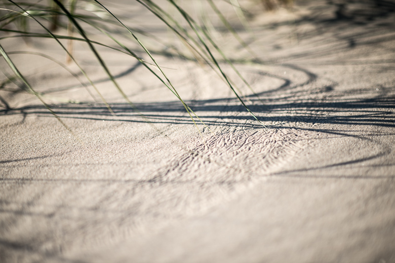 DSC_1218.jpg DSC 1218