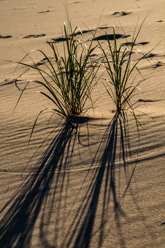 DSC_1261.jpg DSC 1261