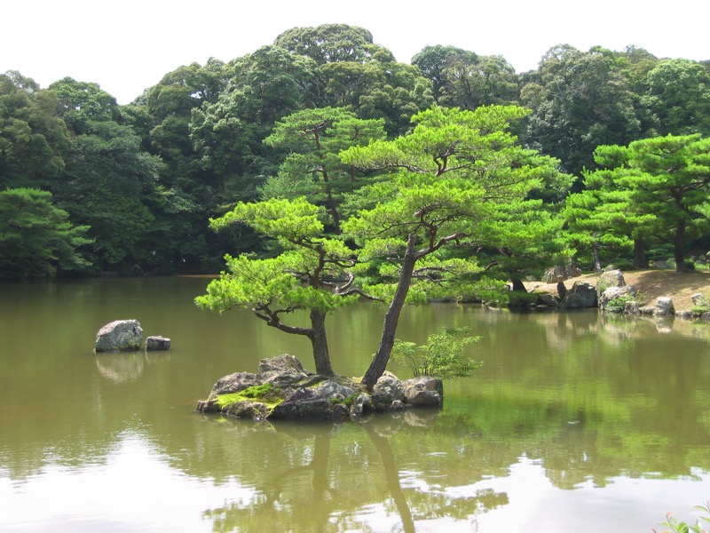 IMG_1971.JPG IMG 1971