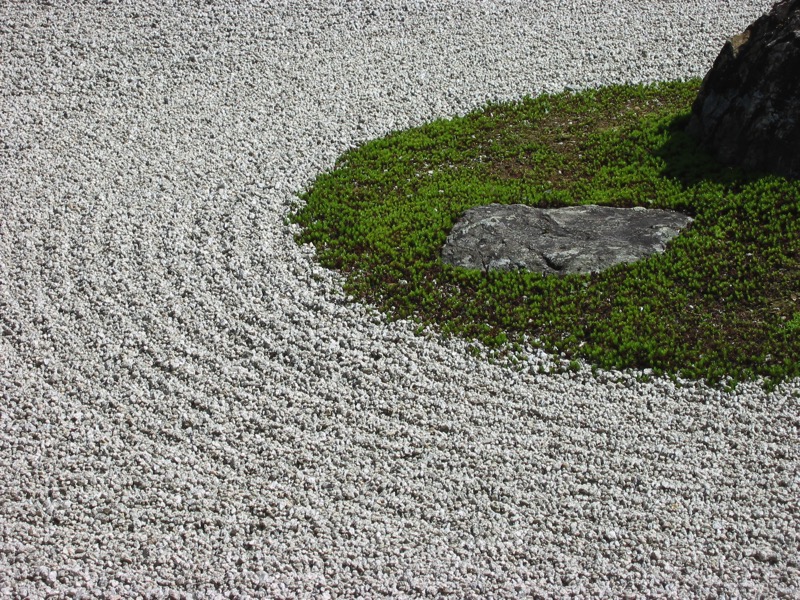 IMG_1982.JPG IMG 1982