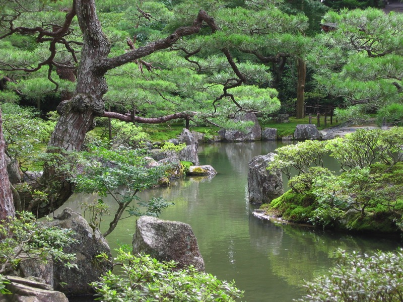 IMG_2048.JPG IMG 2048