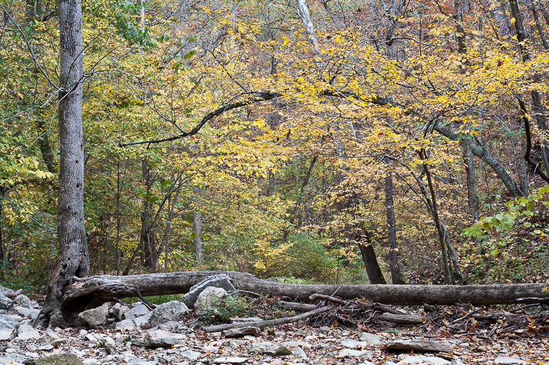 _DSC4159.jpg DSC4159