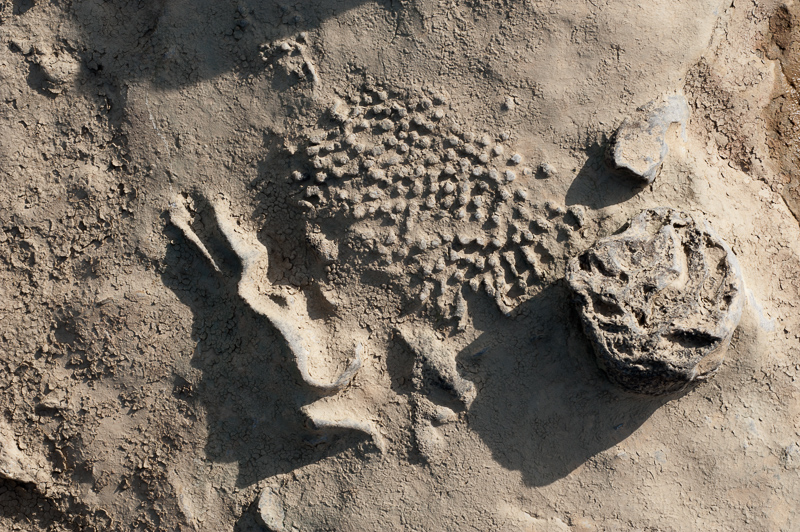 _DSC5317.jpg DSC5317