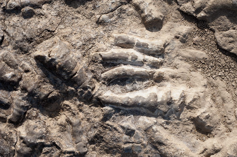 _DSC5345.jpg DSC5345