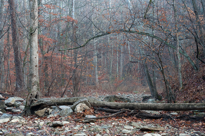 _DSC5510.jpg DSC5510