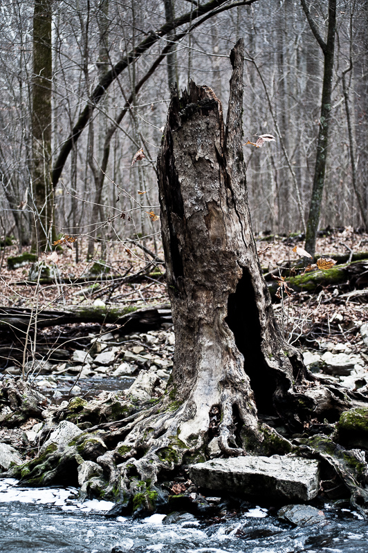 _DSC6252.jpg DSC6252