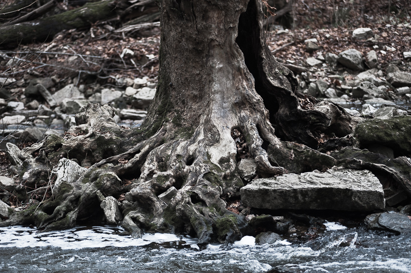 _DSC6254.jpg DSC6254