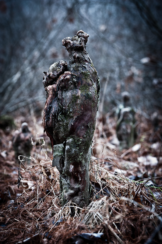 _DSC6934.jpg DSC6934