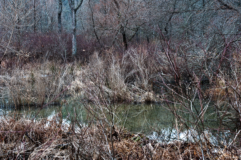 _DSC6958.jpg DSC6958