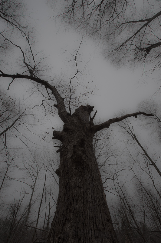 _DSC7372.jpg DSC7372