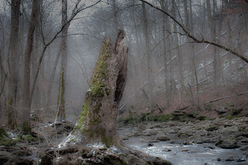 _DSC7751.jpg DSC7751