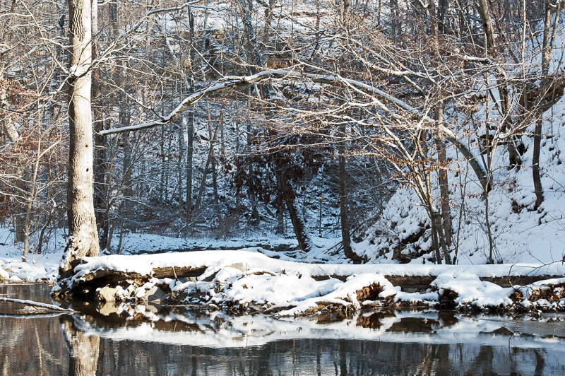 _DSC8428.jpg DSC8428