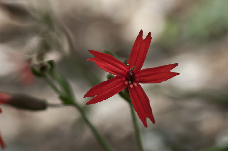 _DSC8625.jpg DSC8625