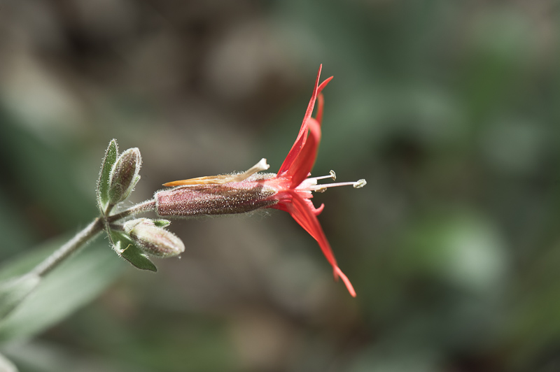 _DSC8626.jpg DSC8626