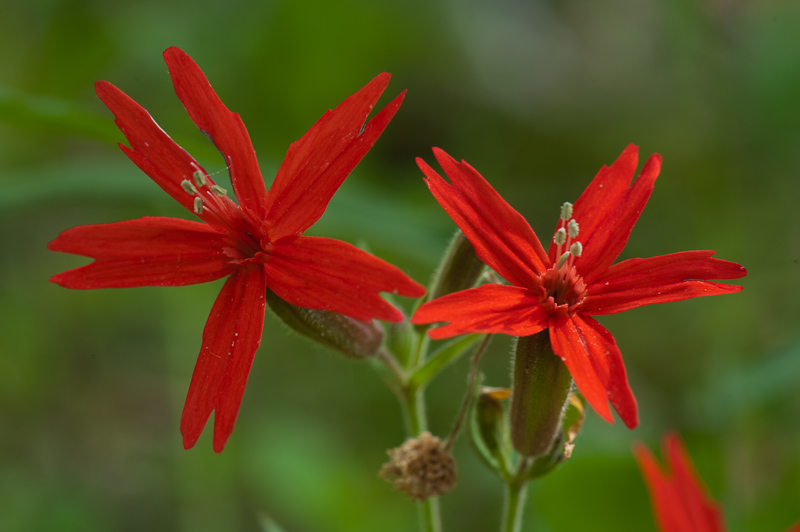 _DSC8639.jpg DSC8639