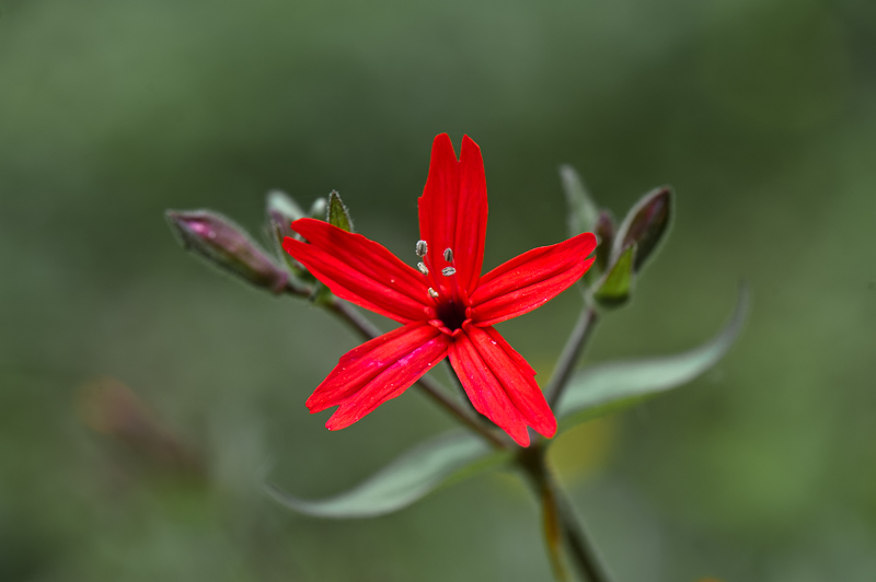 _DSC8708.jpg DSC8708