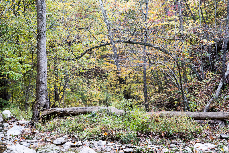 DSC_1974.jpg DSC 1974