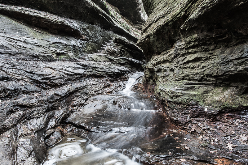 DSC_2794.jpg DSC 2794