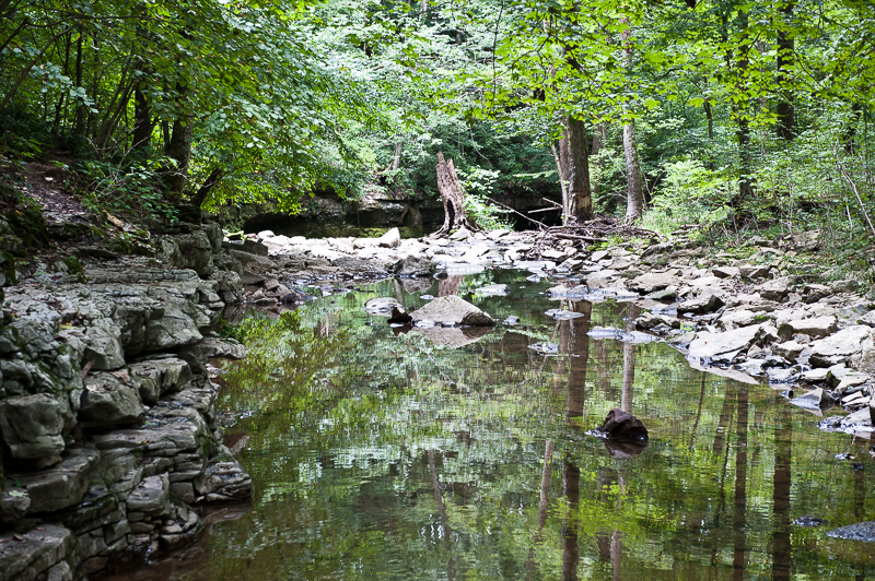 DSC_3202.jpg DSC 3202