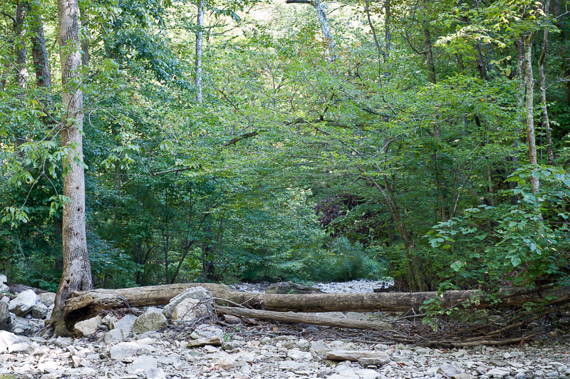 DSC_3367.jpg DSC 3367