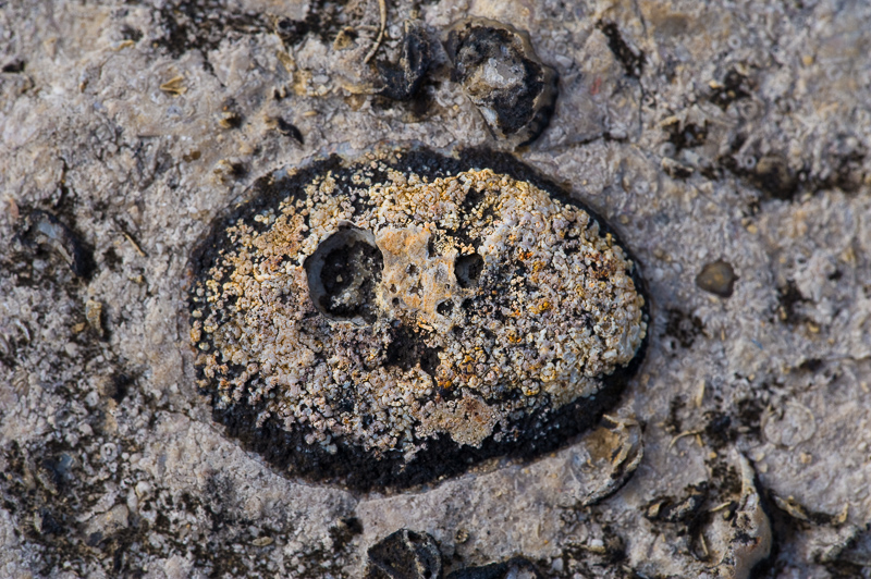 DSC_3423.jpg DSC 3423