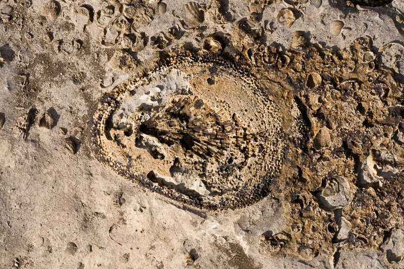 DSC_3437.jpg DSC 3437