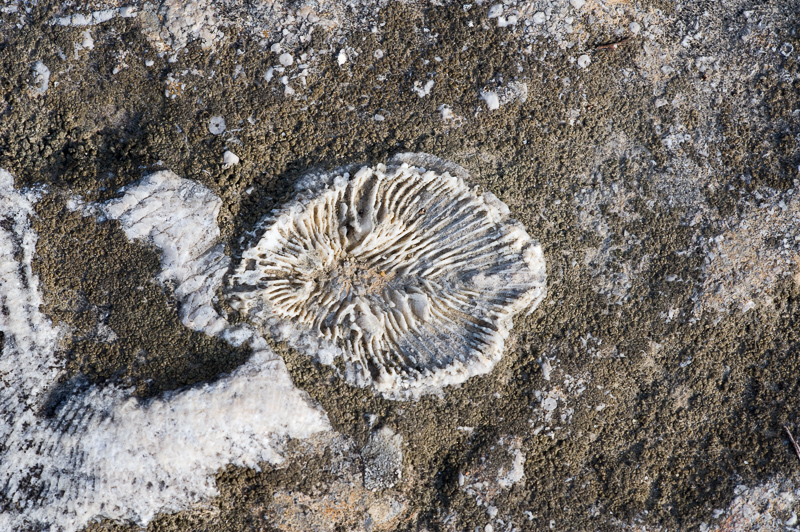 DSC_3463.jpg DSC 3463