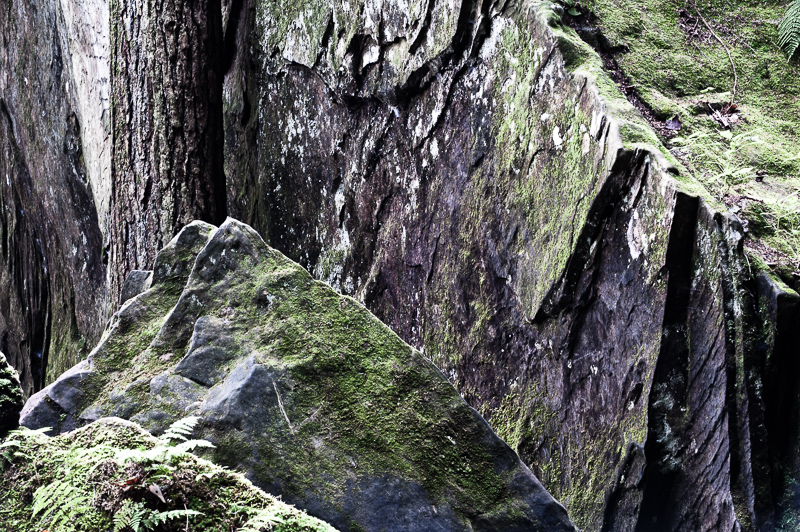 DSC_3984.jpg DSC 3984