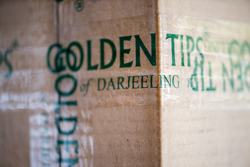 DSC_6980.jpg DSC 6980