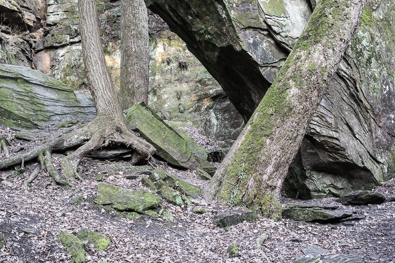 DSC_7008.jpg DSC 7008