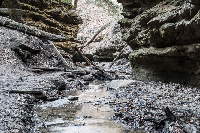 DSC_7061.jpg DSC 7061