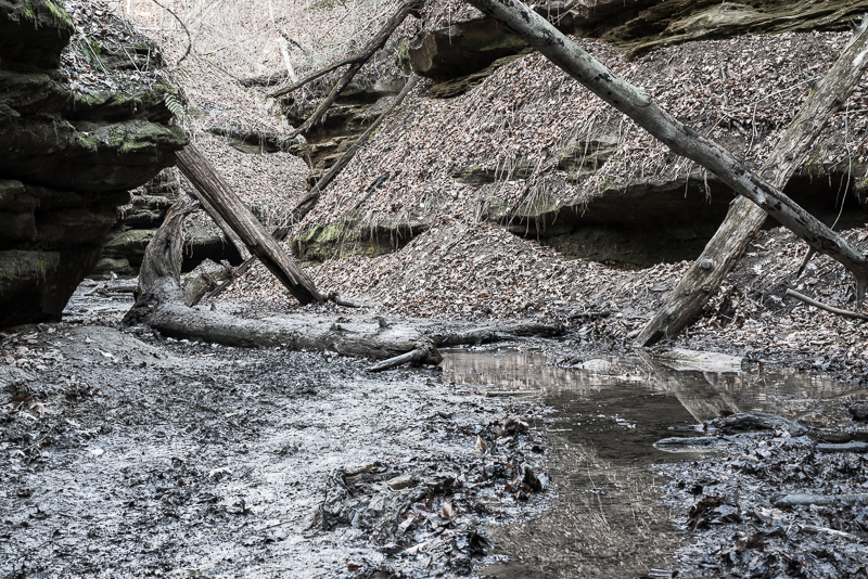 DSC_7065.jpg DSC 7065