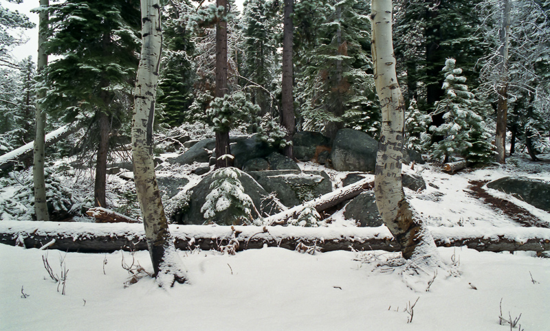 berkeley028b.jpg Berkeley028b