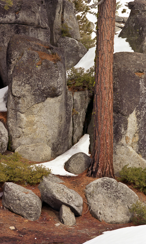 berkeley216b.jpg Berkeley216b