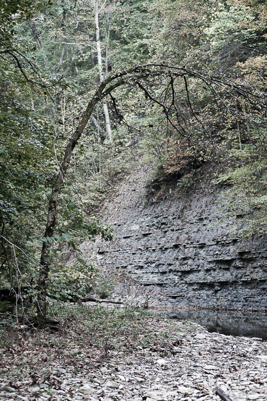 DSC_4447.jpg DSC 4447