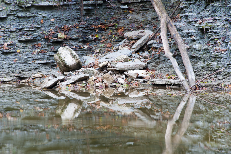 DSC_4449.jpg DSC 4449