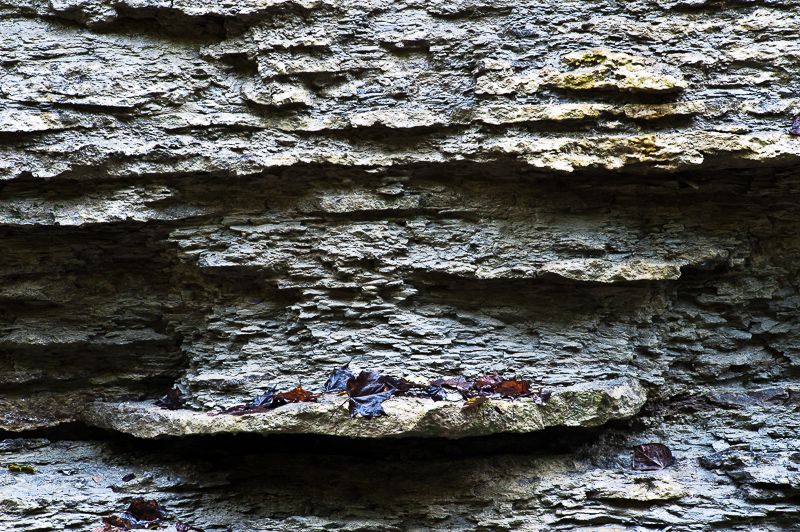 DSC_4451.jpg DSC 4451