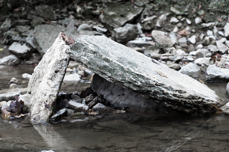 DSC_4470.jpg DSC 4470