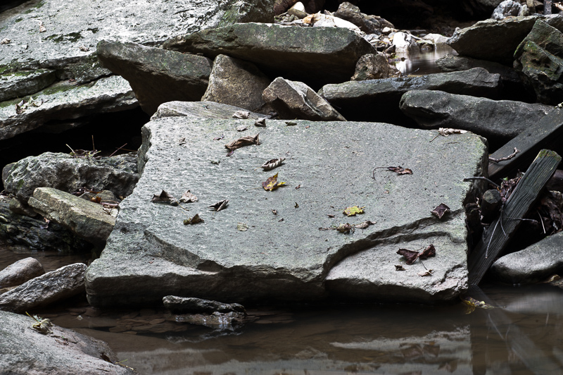 DSC_4532.jpg DSC 4532