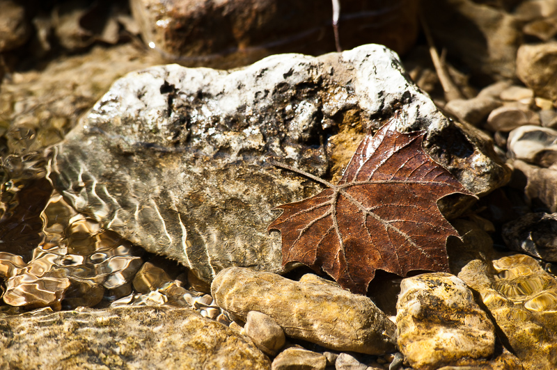 DSC_4570.jpg DSC 4570