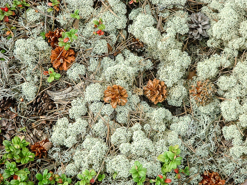 DSCF0012.jpg DSCF0012