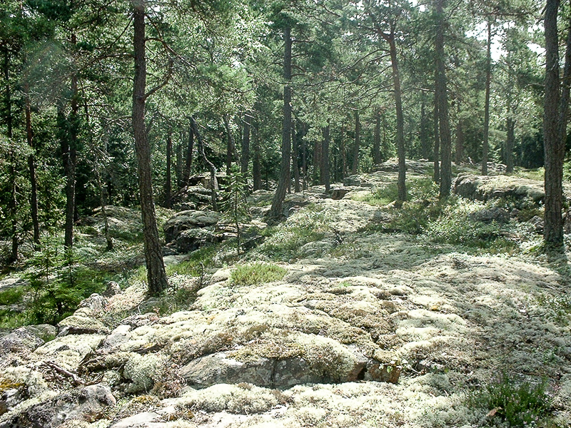 DSCF0032.jpg DSCF0032